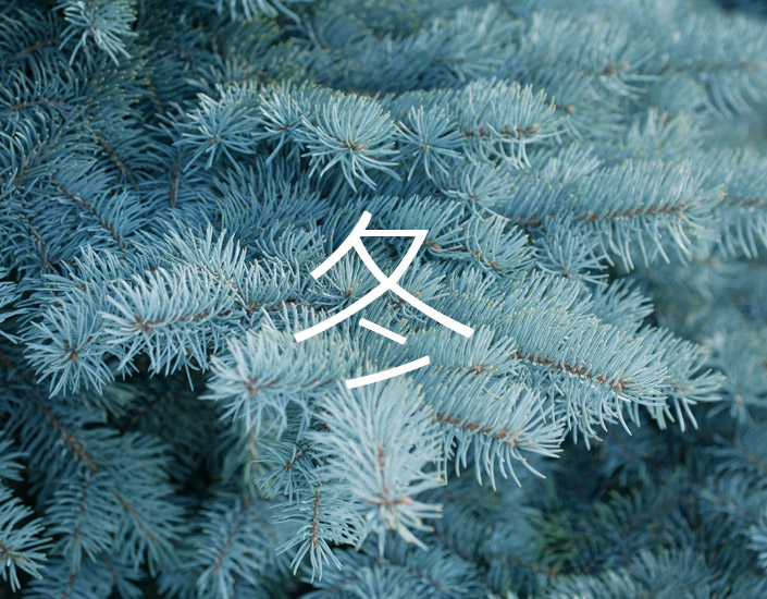 溫暖過冬・保暖穿搭，羽絨外套新上市，特價優惠中