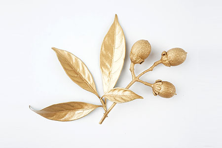 品名限10全形字元內