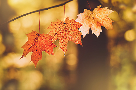 標題限10全形字元內