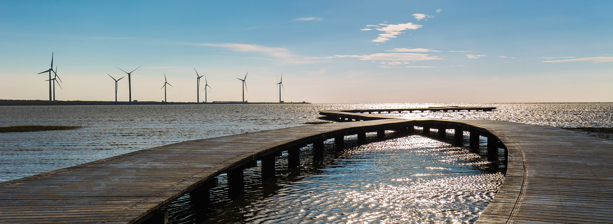 台中豐富生態風貌據點